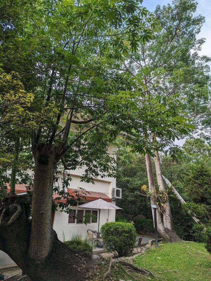 ฟลายอิ้ง วิลลา Hotel Nantou ภายนอก รูปภาพ