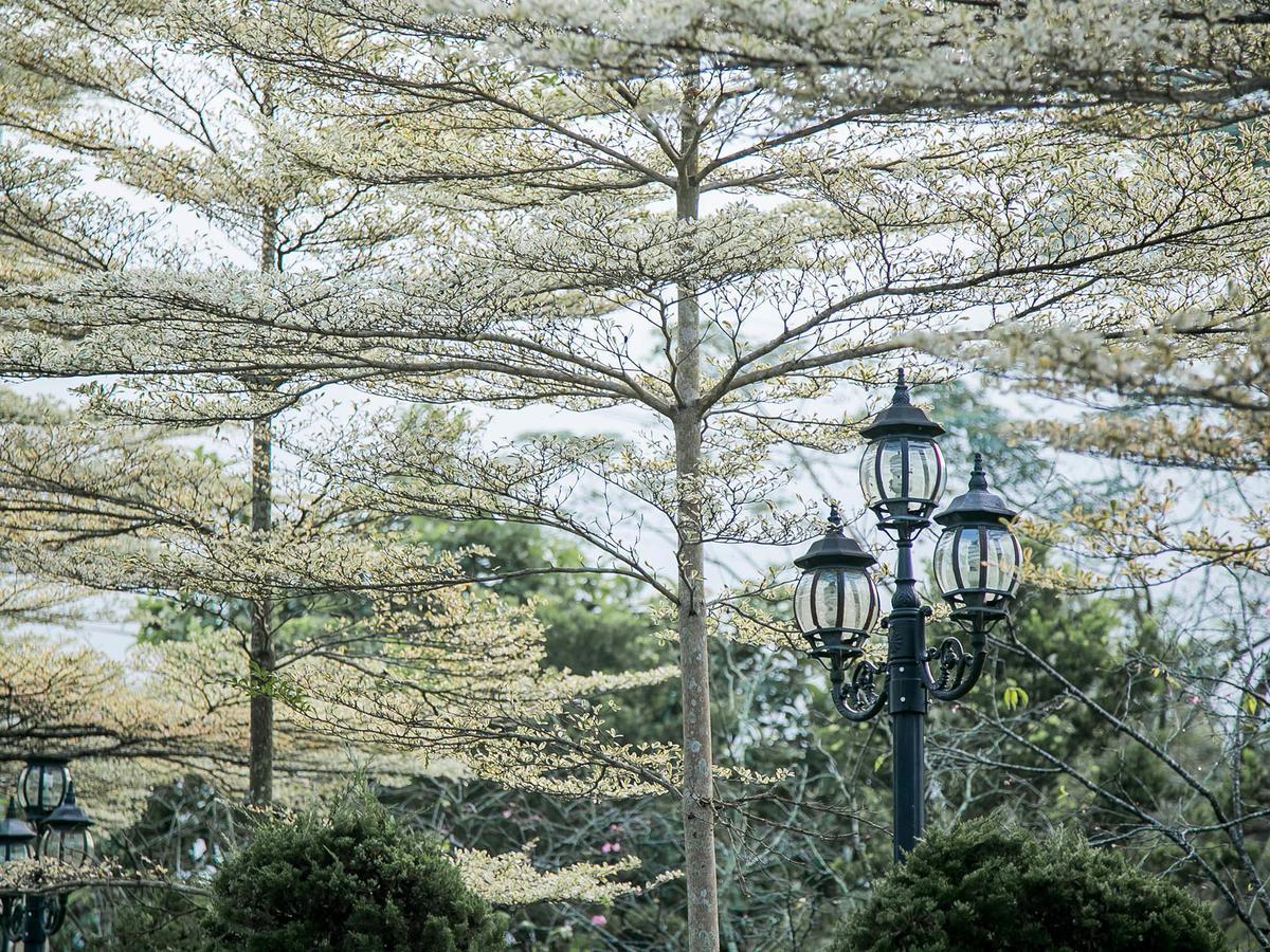 ฟลายอิ้ง วิลลา Hotel Nantou ภายนอก รูปภาพ